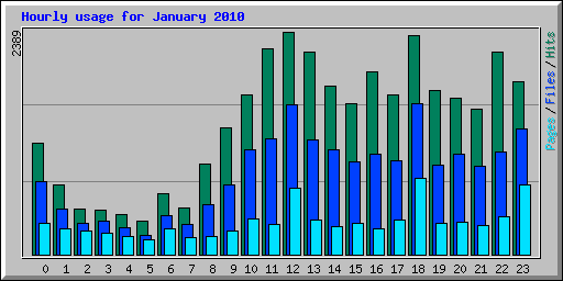 Hourly usage for January 2010