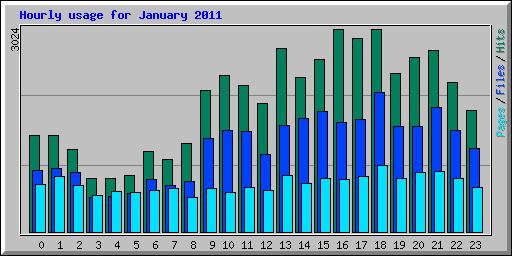 Hourly usage for January 2011